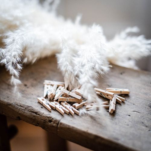 20 Μίνι Κλιπς – Φυσικό Ξύλο 3 cm από την εταιρεία Beauty Home