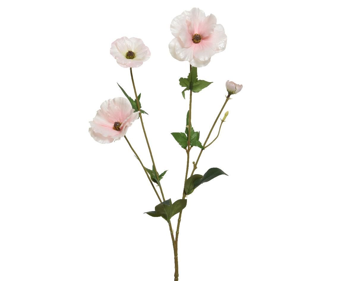 ΛΟΥΛΟΥΔΙ 67CM από την εταιρεία Beauty Home
