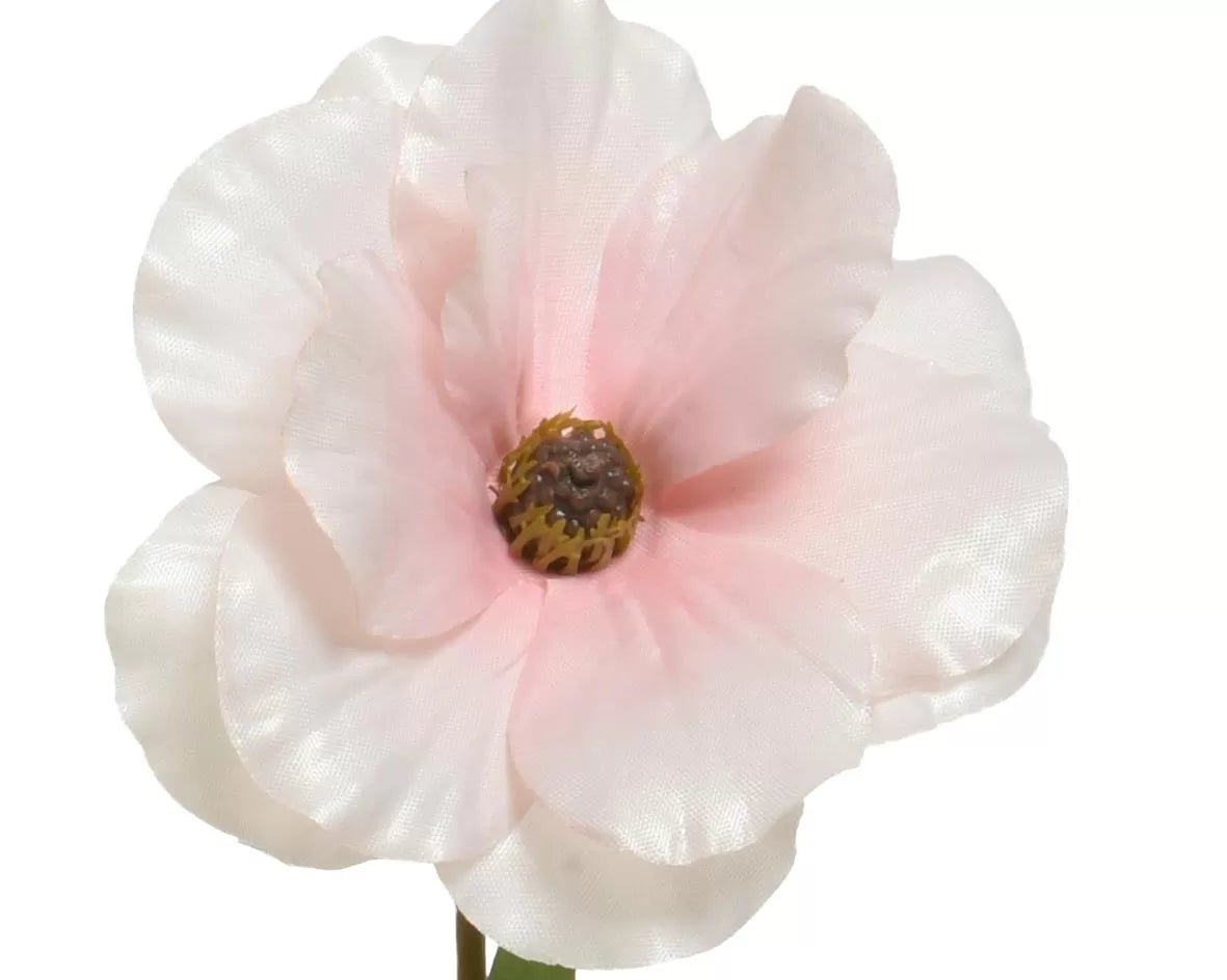 ΛΟΥΛΟΥΔΙ 67CM από την εταιρεία Beauty Home