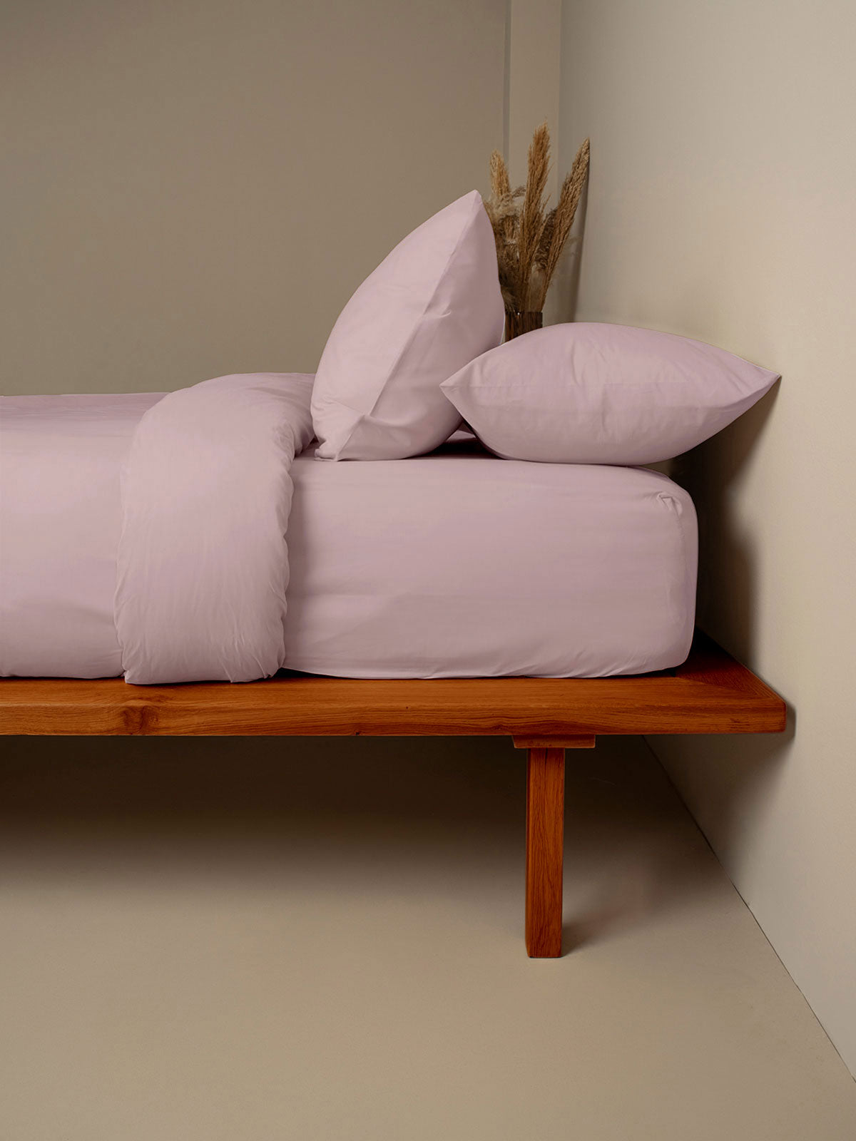 Σετ Σεντόνια Cotton Feelings 115 Rotten Apple Μονό με λάστιχο(105x205+30) από την εταιρεία Sunshine Home