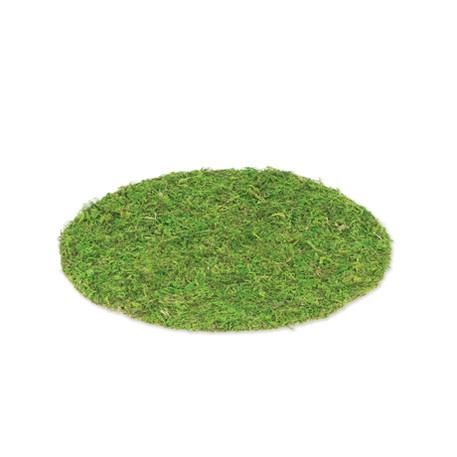 ΣΟΥΠΛΑ GREENERY 35 cm Default Title από την εταιρεία Beauty Home