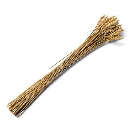 ΑΠΟΞΗΡΑΜΕΝΟ ΣΤΑΧΥ 70G 60CM Default Title από την εταιρεία Beauty Home