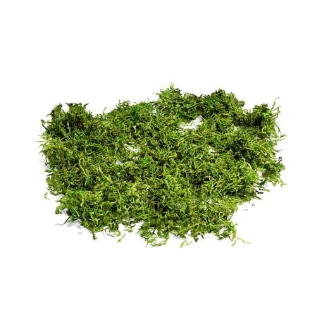 ΦΥΣΙΚΑ ΒΡΥΑ 50gr Default Title από την εταιρεία Beauty Home