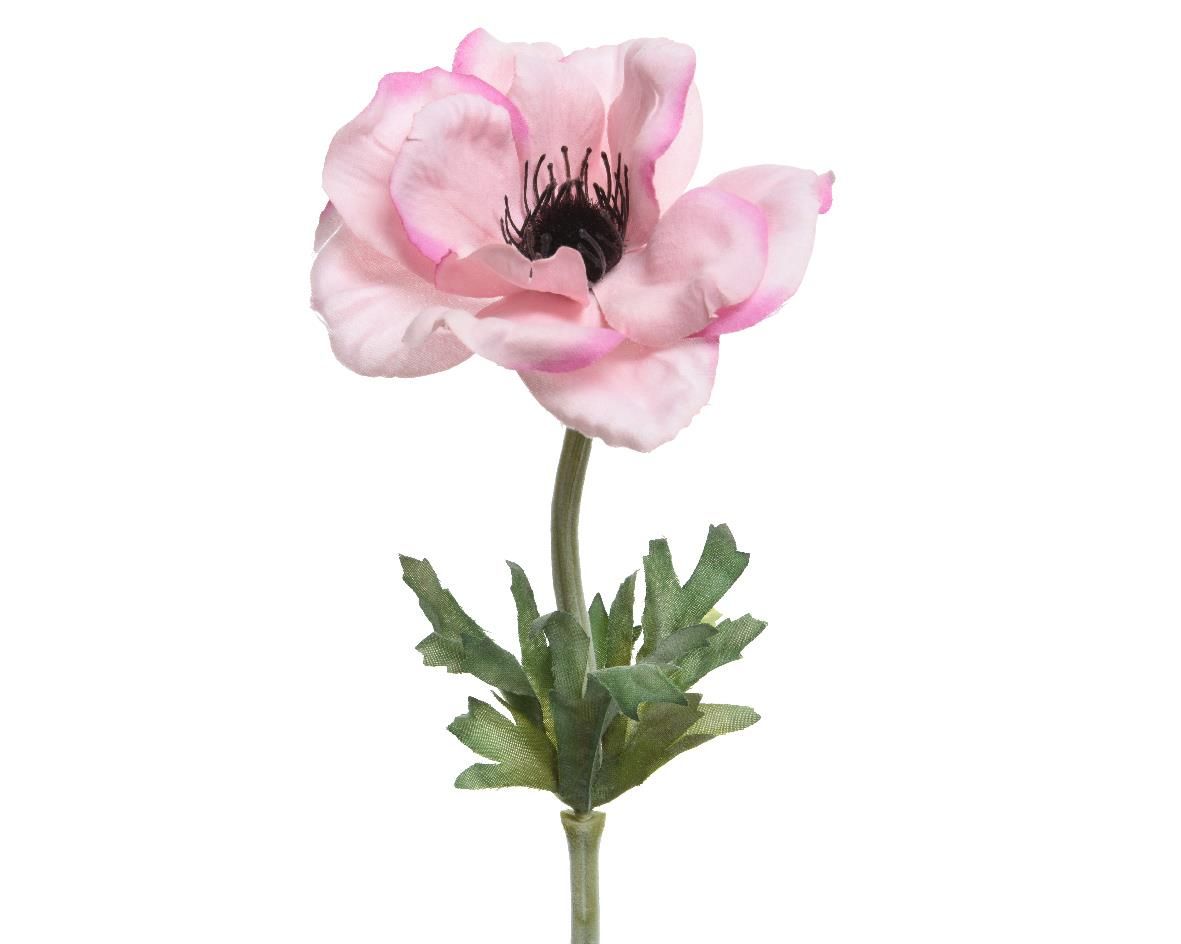 ΑΝΑΕΜΩΝΗ 57 CM από την εταιρεία Beauty Home