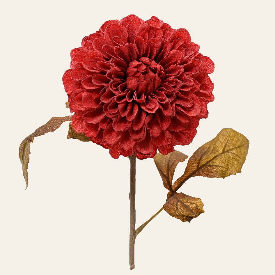 ΛΟΥΛΟΥΔΙ ΝΤΑΛΙΑ 76 CM Default Title από την εταιρεία Beauty Home