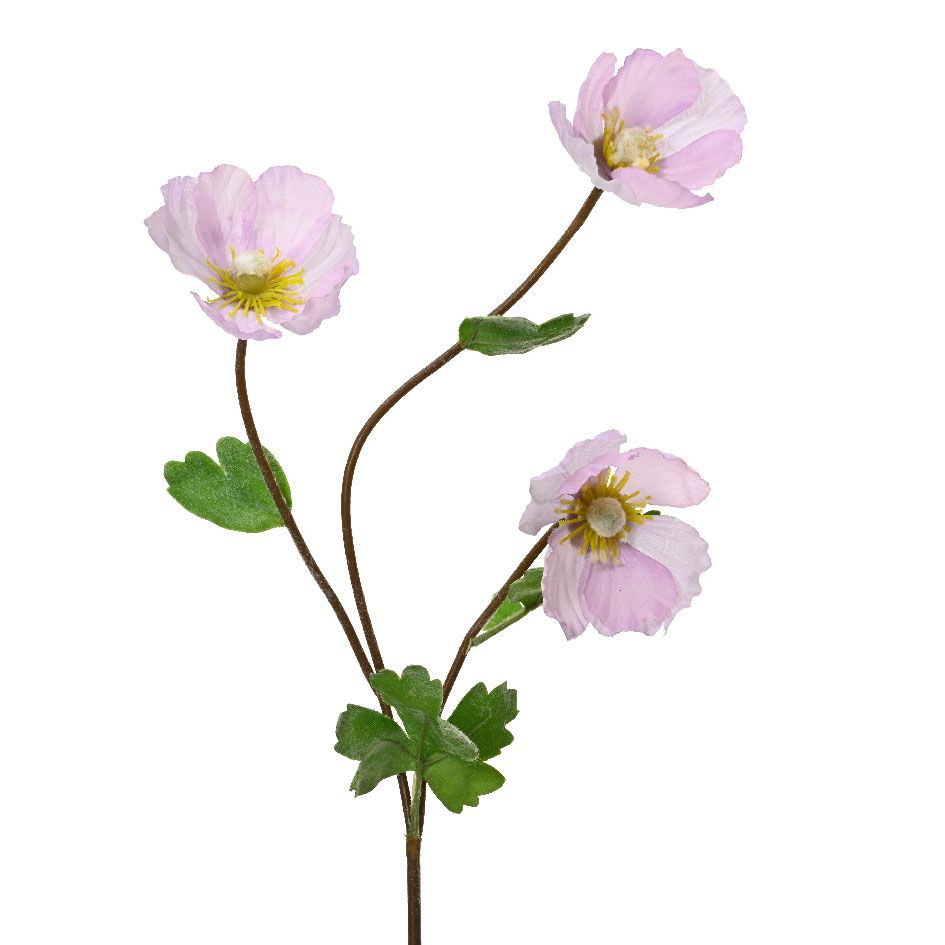 ΠΑΠΑΡΟΥΝΑ ΛΕΥΚΗ ΡΟΖ 71 cm από την εταιρεία Beauty Home