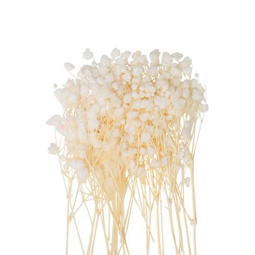 MINI ΓΥΨΟΦΙΛΗ 20 ΤΜΧ 5 CM από την εταιρεία Beauty Home