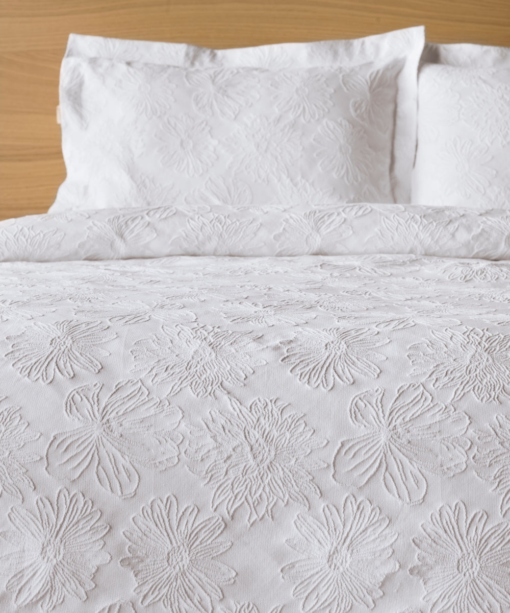 SOLIMAN 00 ΚΟΥΒΕΡΤΑ KING από την εταιρεία KENTIA