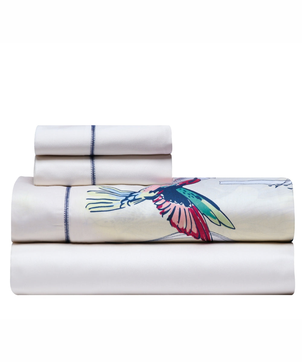 NAMIBIA ΣΕΝΤΟΝΙ KING ΣΕΤ 4 ΤΕΜ από την εταιρεία KENTIA