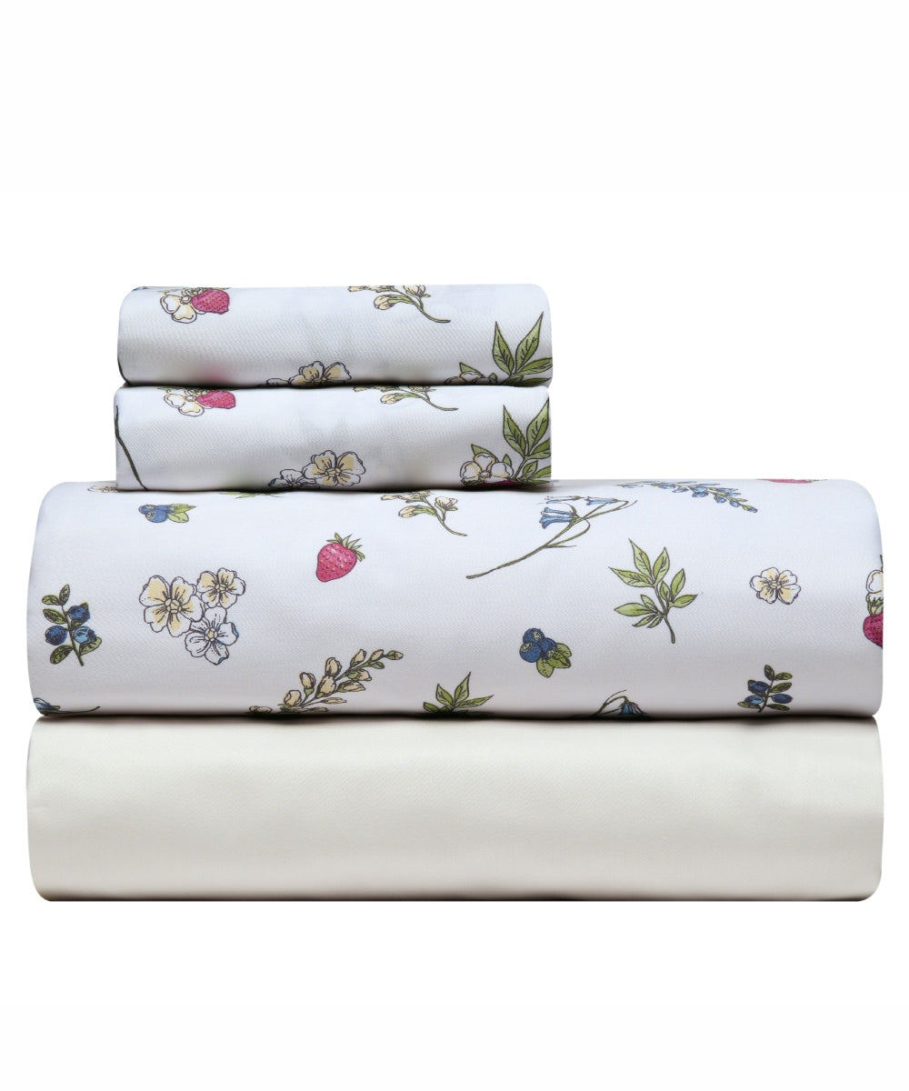 FRUTILLA 12 ΣΕΝΤΟΝΙ KING ΣΕΤ 4 ΤΕΜ από την εταιρεία KENTIA