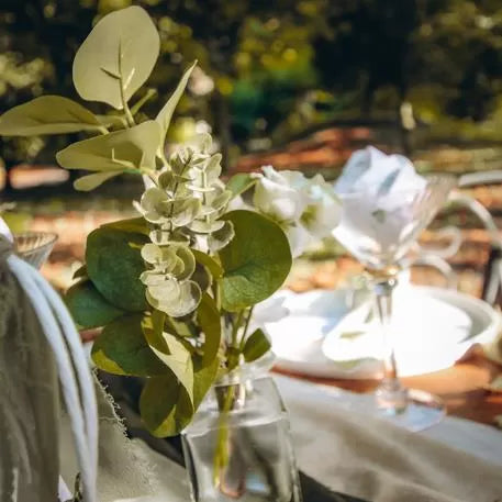 ΕΥΚΑΛΥΠΤΟΣ 35 CM από την εταιρεία Beauty Home