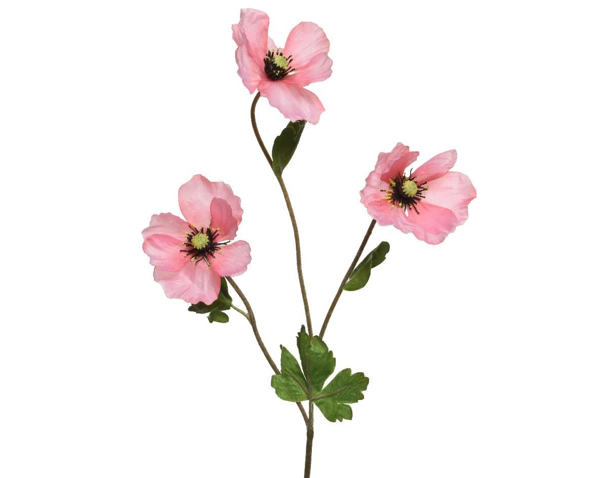 ΠΑΠΑΡΟΥΝΑ ΡΟΖ 71 CM Default Title από την εταιρεία Beauty Home