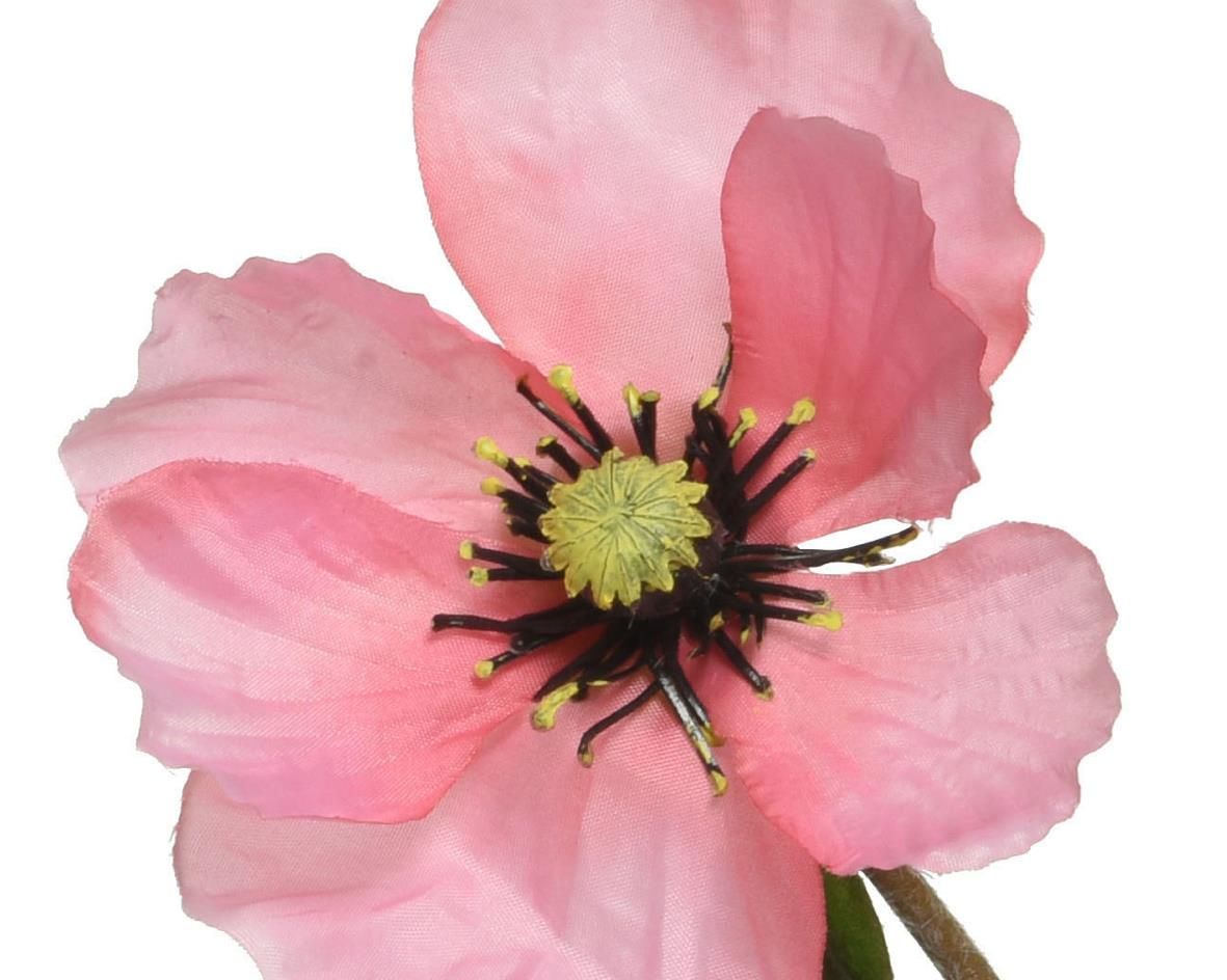 ΠΑΠΑΡΟΥΝΑ ΡΟΖ 71 CM από την εταιρεία Beauty Home