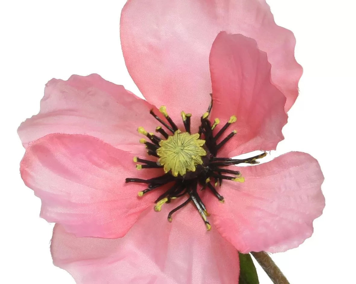 ΠΑΠΑΡΟΥΝΑ ΡΟΖ 71 CM από την εταιρεία Beauty Home