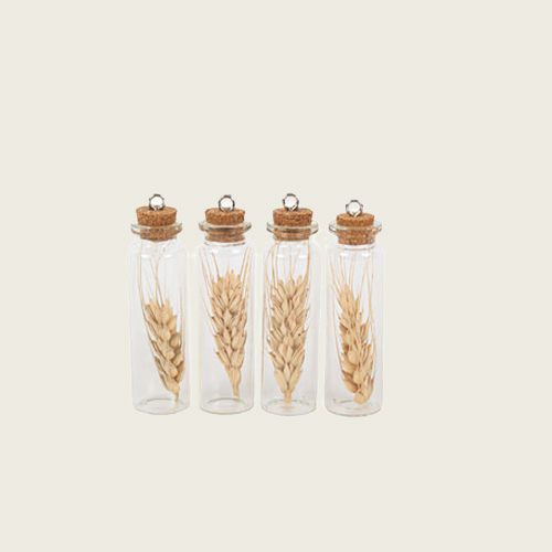 ΓΥΑΛΙΝΟΣ ΣΩΛΗΝΑΣ ΜΕ ΑΠΟΞΗΡΑΜΕΝΟ ΣΤΑΧΙ ΣΕΤ 4 ΤΜΧ 8 x 2 cm Default Title από την εταιρεία Beauty Home