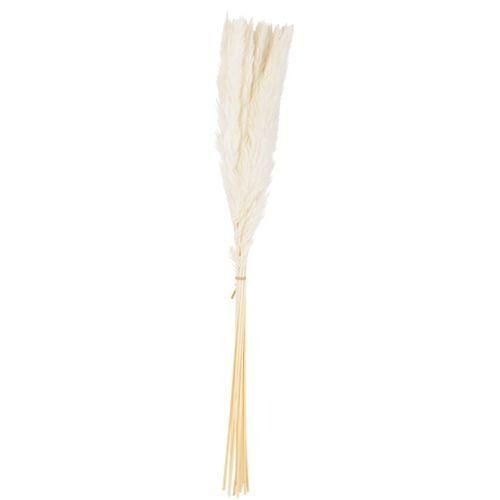 15 ΚΛΑΔΙΑ ΦΤΕΡΑ ΛΕΥΚΑ 70 cm από την εταιρεία Beauty Home