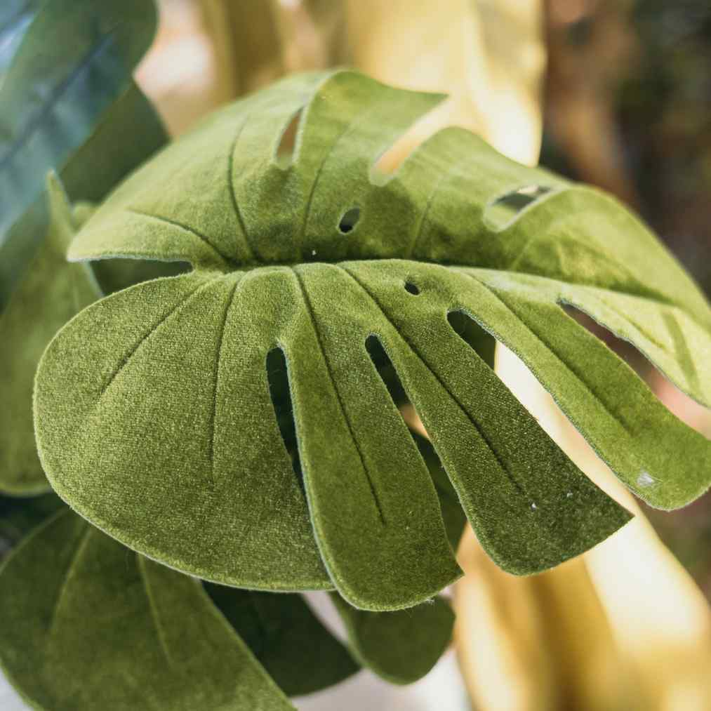 Κλαδί βελούδο με 4 φύλλα monstera 60 cm από την εταιρεία Beauty Home
