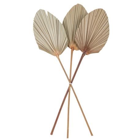 ΦΥΛΛΑ ΠΑΛΜΑ ΣΕΤ 3 ΤΜΧ 60 x 15 cm από την εταιρεία Beauty Home
