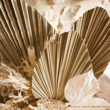 ΦΥΛΛΑ ΠΑΛΜΑ ΣΕΤ 3 ΤΜΧ 60 x 15 cm από την εταιρεία Beauty Home
