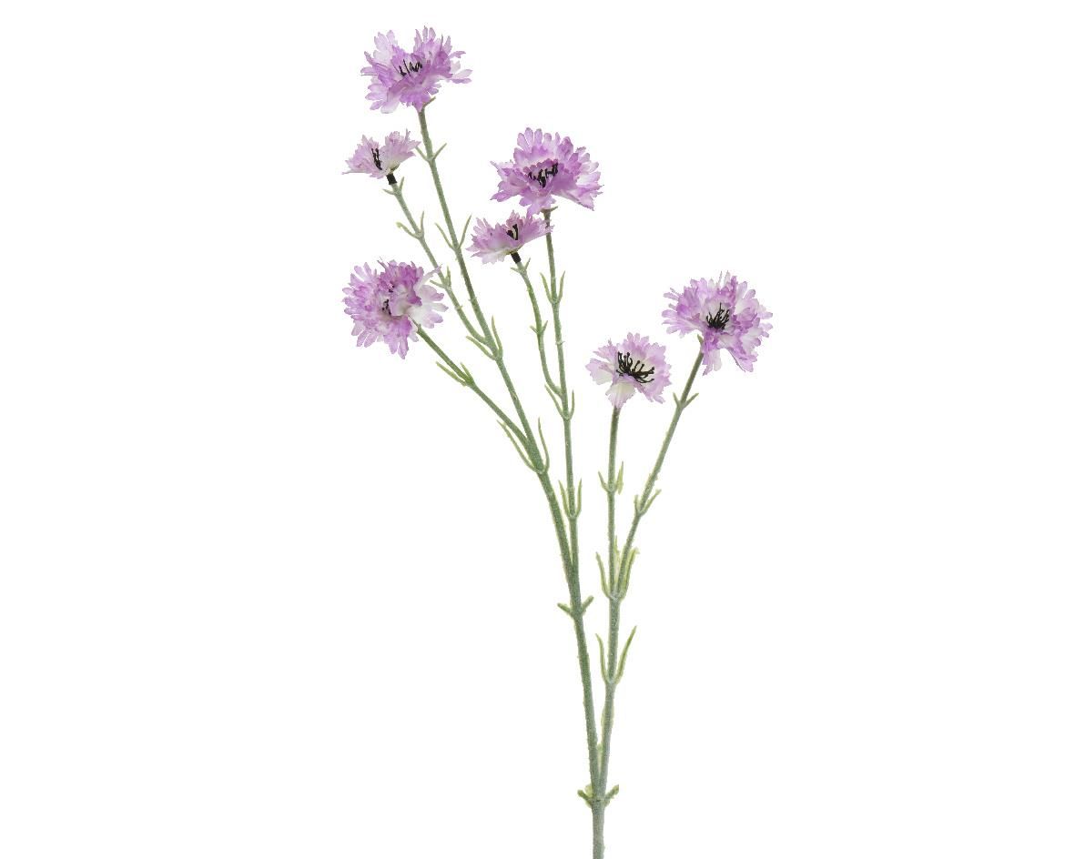 ΛΟΥΛΟΥΔΙ 68 CM Default Title από την εταιρεία Beauty Home