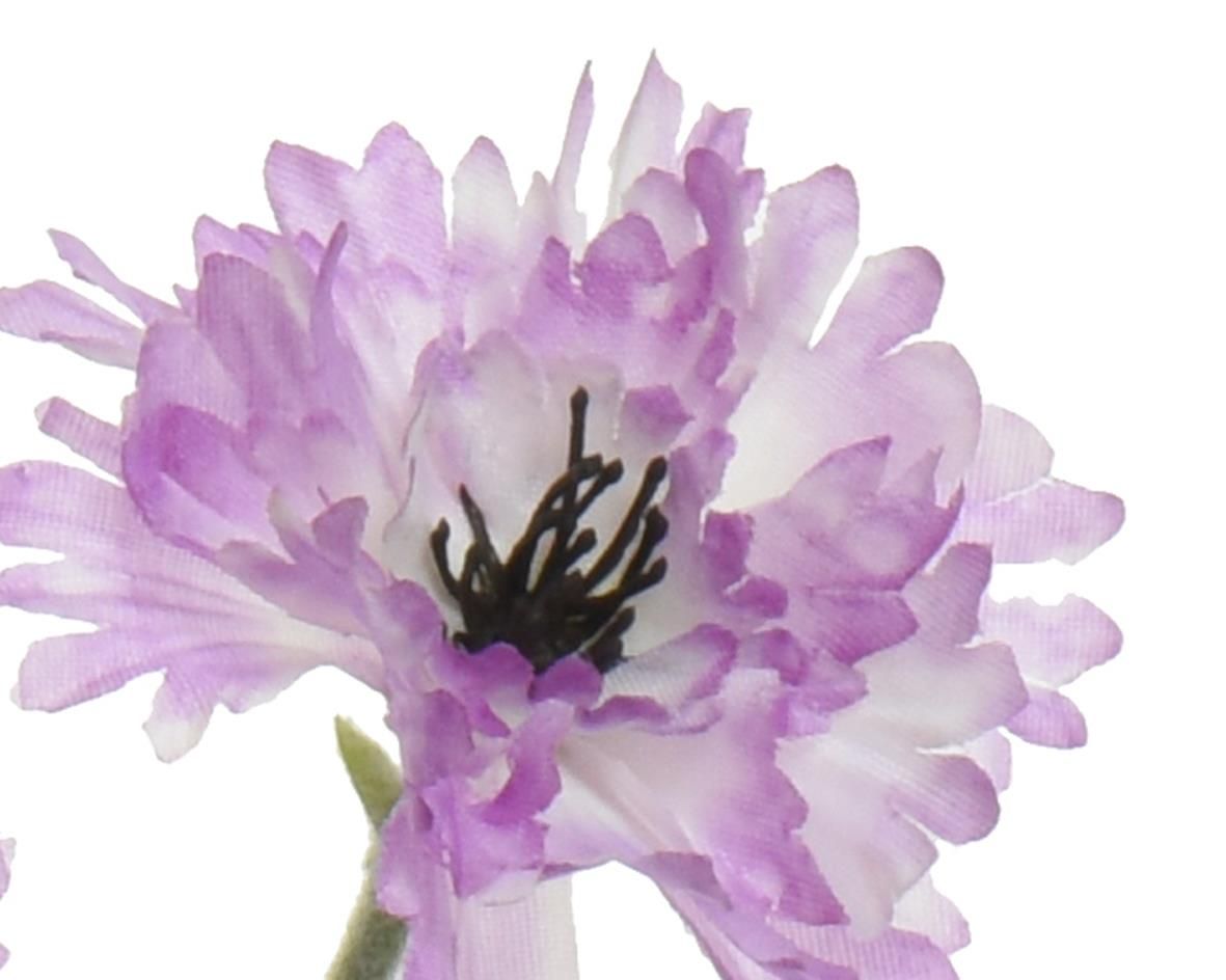 ΛΟΥΛΟΥΔΙ 68 CM από την εταιρεία Beauty Home