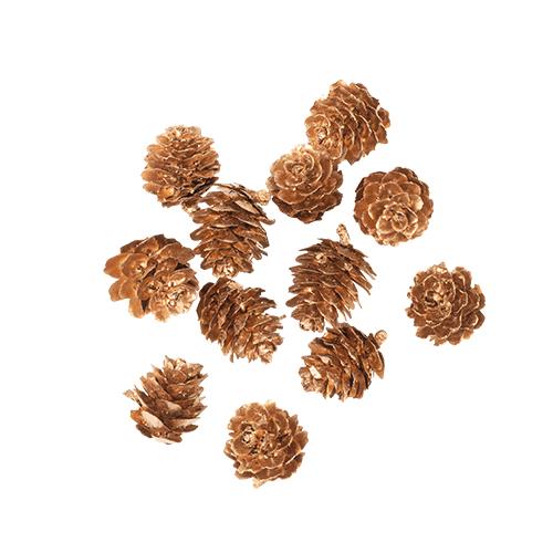 12 Κουκουνάρια Χρυσά 2 cm από την εταιρεία Beauty Home