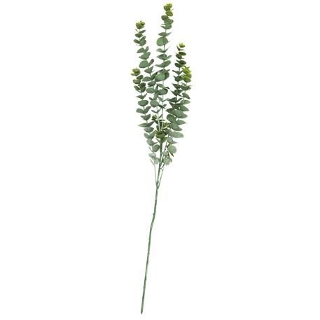 ΜΠΟΥΚΕΤΟ ΕΥΚΑΛΥΠΤΟΣ 83 CM