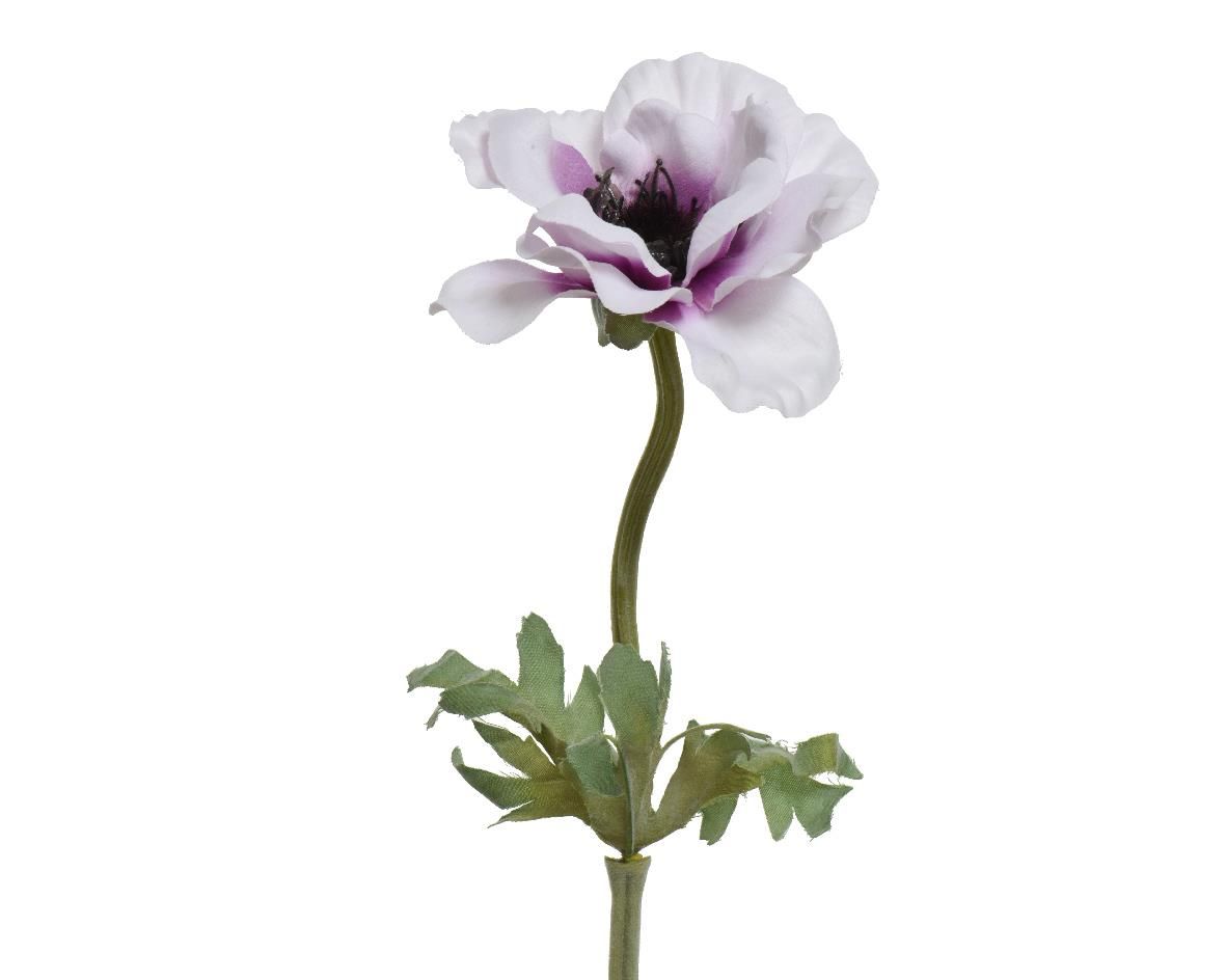 ΑΝΕΜΩΝΗ 57 CM Default Title από την εταιρεία Beauty Home