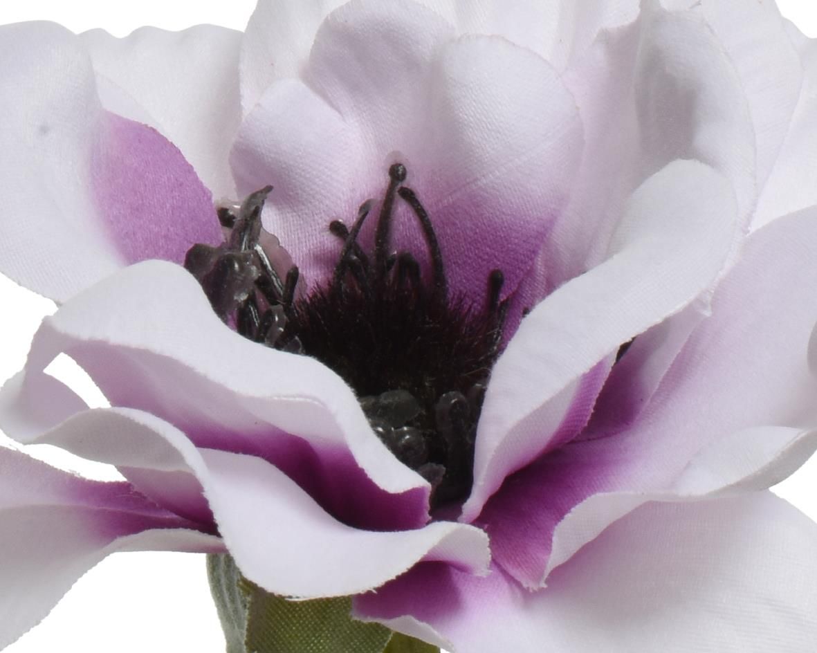 ΑΝΕΜΩΝΗ 57 CM από την εταιρεία Beauty Home