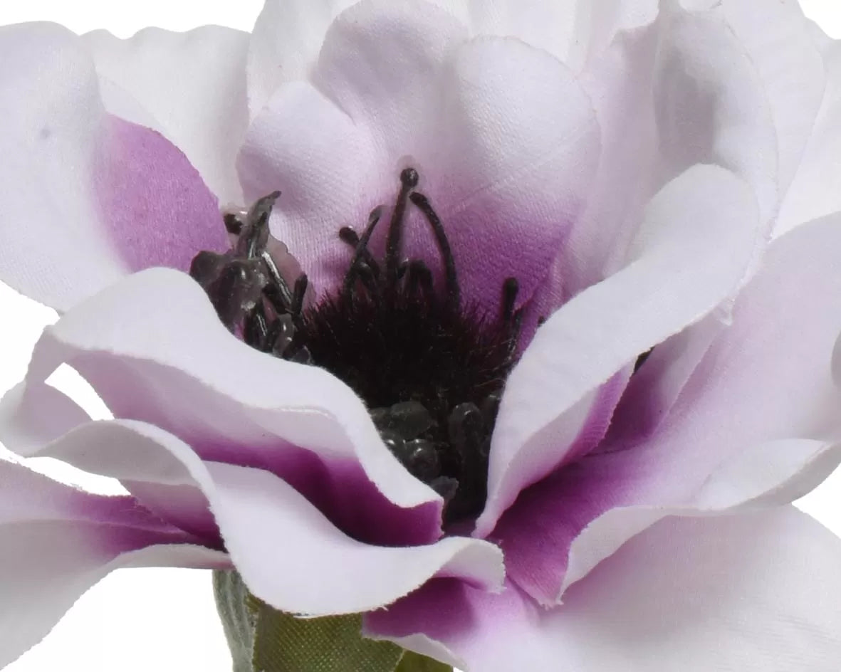 ΑΝΕΜΩΝΗ 57 CM από την εταιρεία Beauty Home