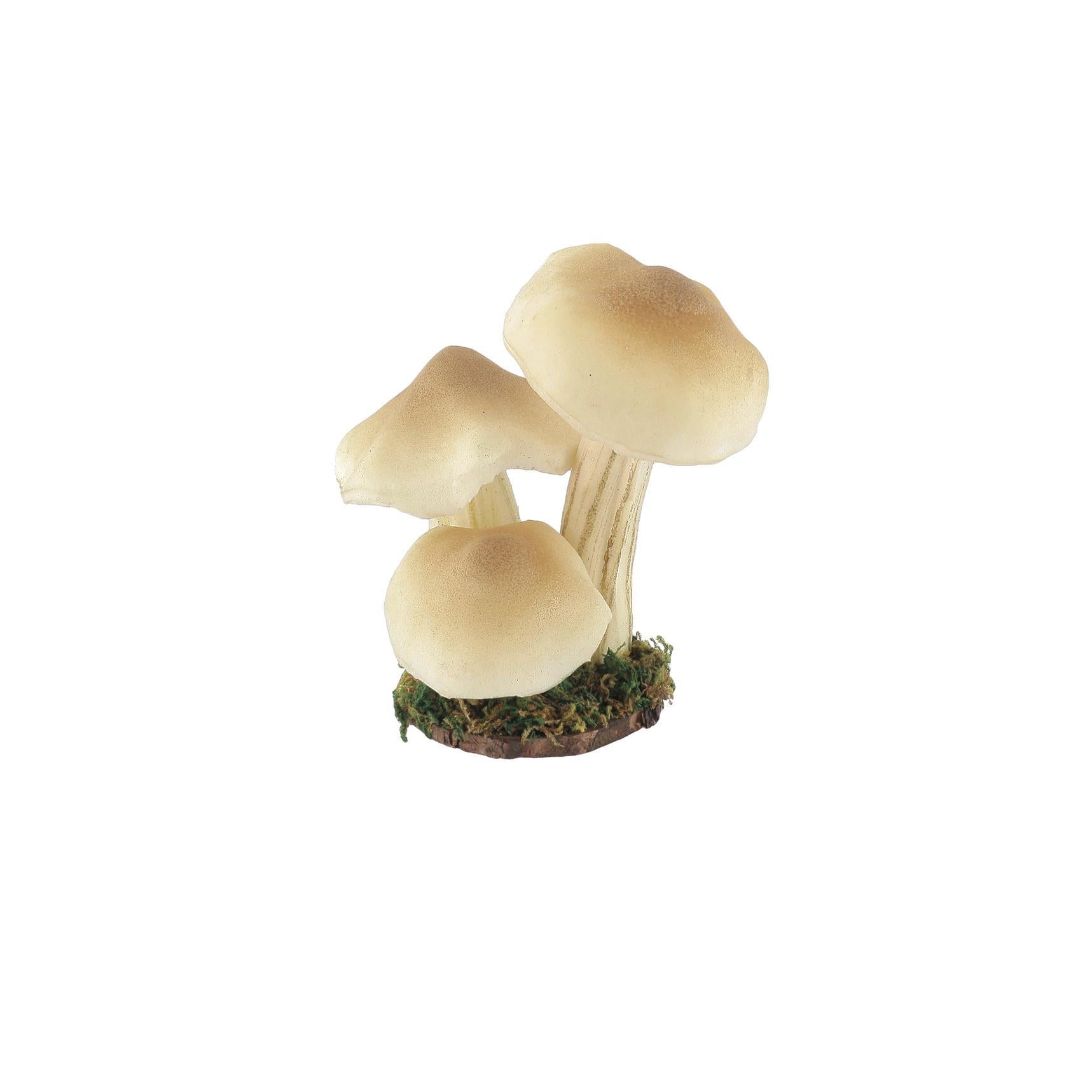 3 μανιτάρια σε βάση με βρύα Ø7 x 14 cm