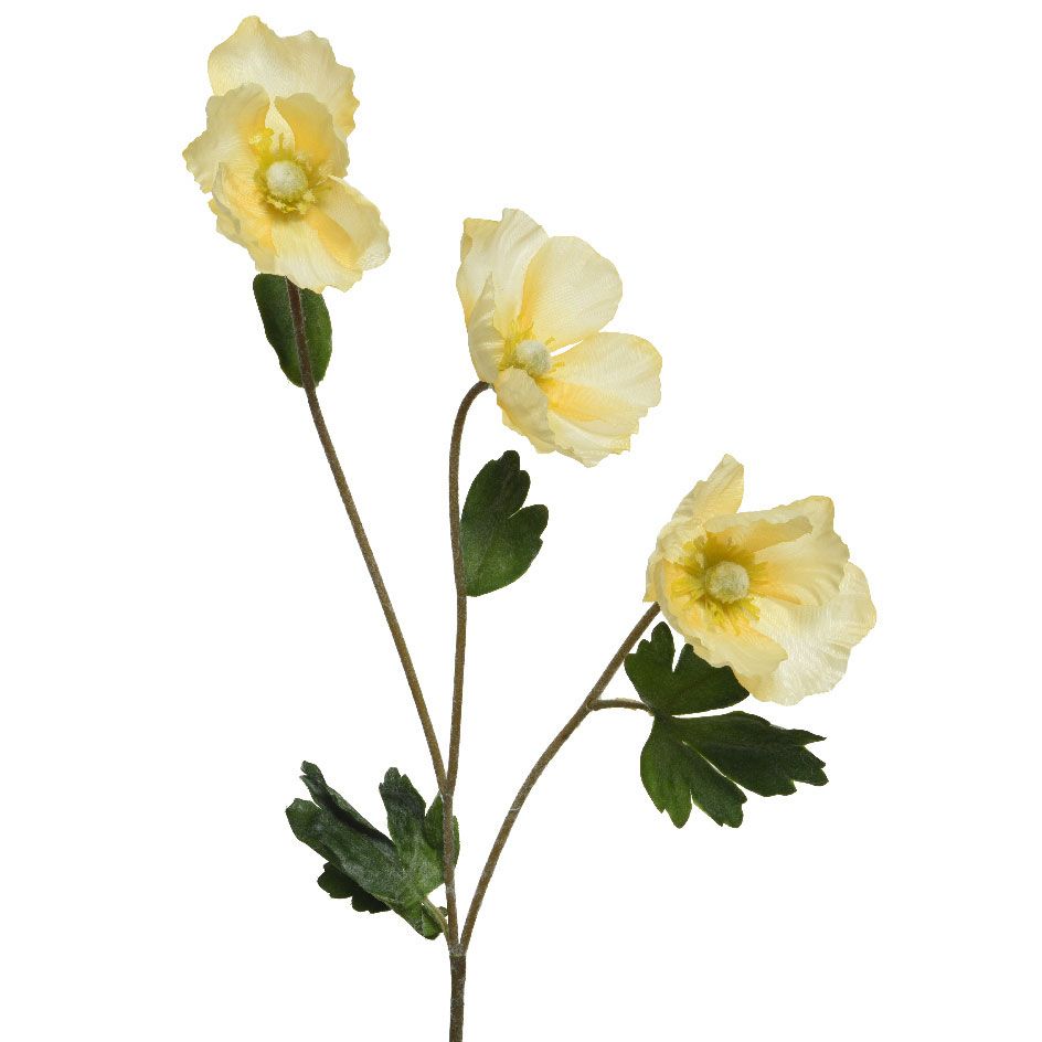 ΠΑΠΑΡΟΥΝΑ ΚΙΤΡΙΝΗ 71 CM Default Title από την εταιρεία Beauty Home