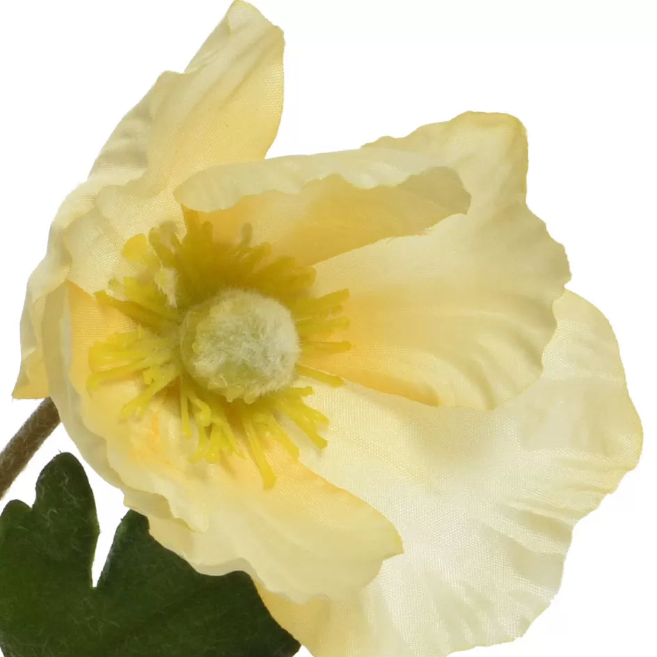 ΠΑΠΑΡΟΥΝΑ ΚΙΤΡΙΝΗ 71 CM από την εταιρεία Beauty Home