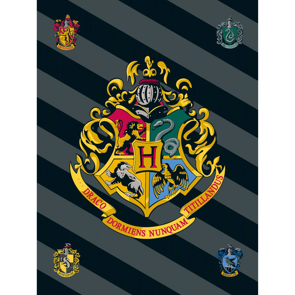 Κουβέρτα Fleece Harry Potter από την εταιρεία Borea Home Textiles