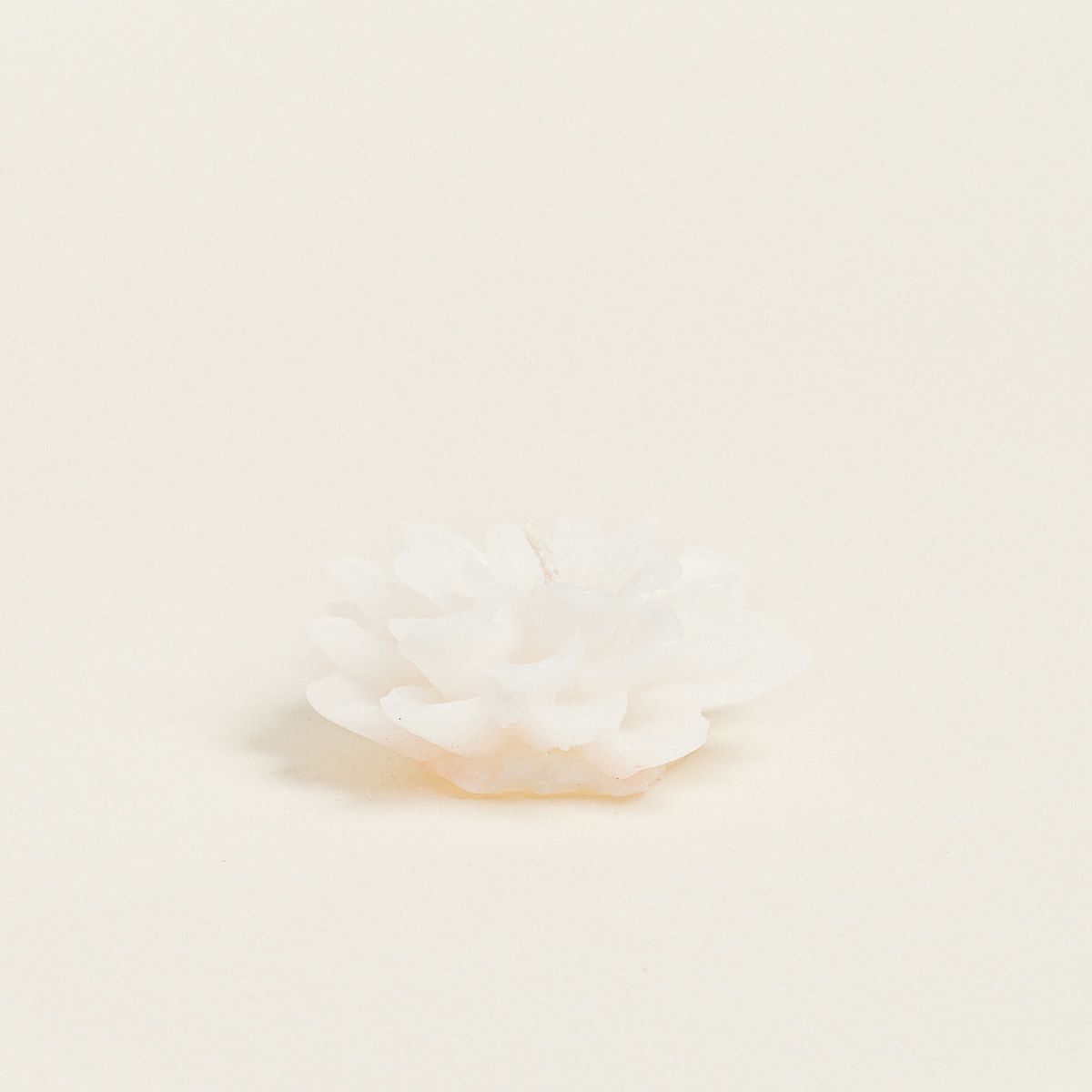 ΚΕΡΙ ΝΤΑΛΙΑ ΜΕ ΚΟΥΤΑΚΙ 6 x 6 cm