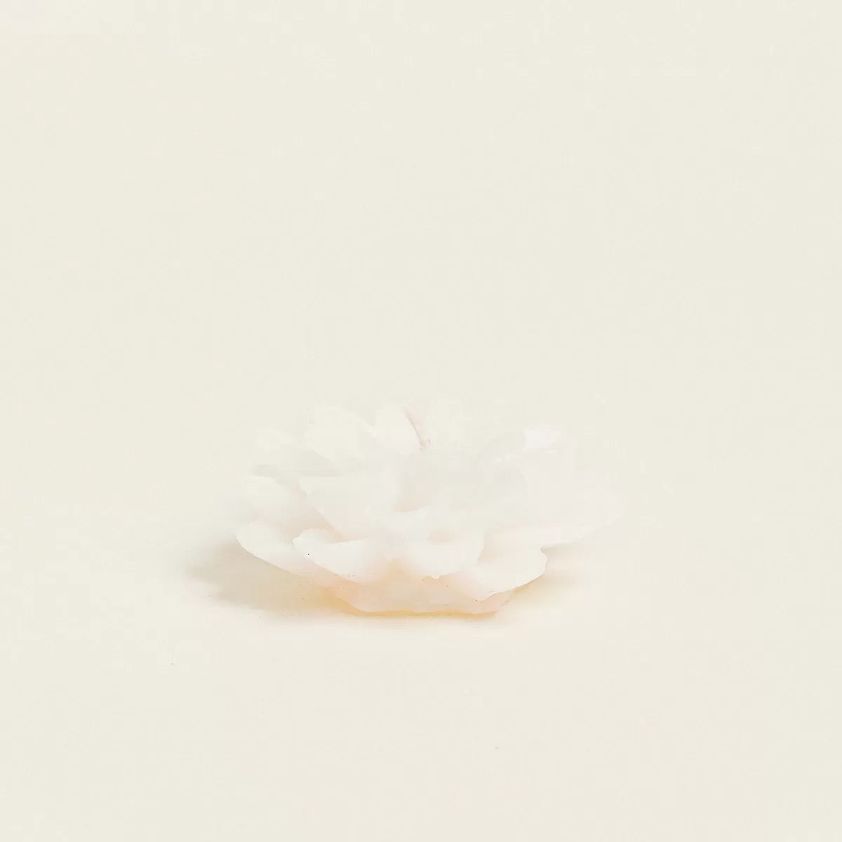 ΚΕΡΙ ΝΤΑΛΙΑ ΜΕ ΚΟΥΤΑΚΙ 6 x 6 cm