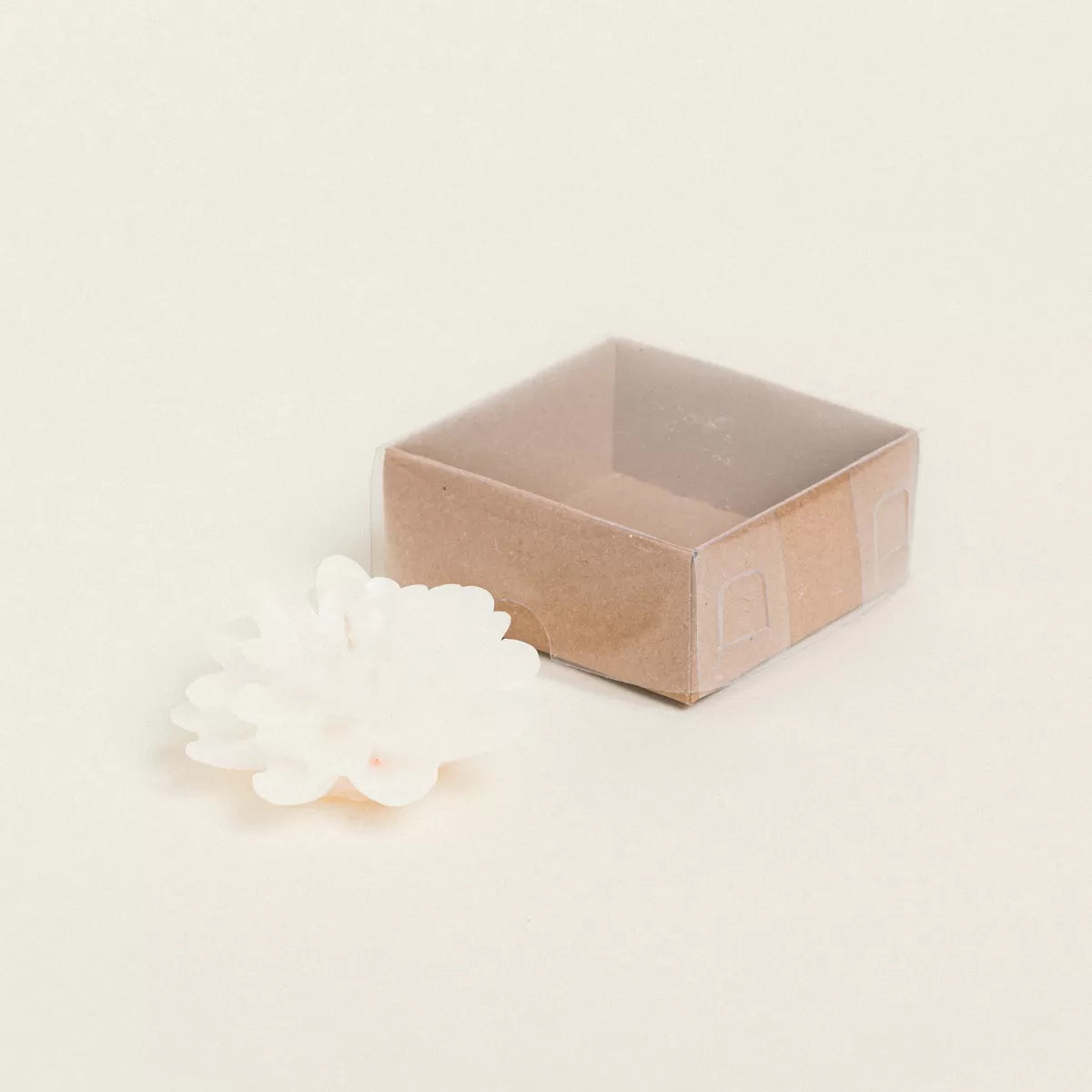 ΚΕΡΙ ΝΤΑΛΙΑ ΜΕ ΚΟΥΤΑΚΙ 6 x 6 cm