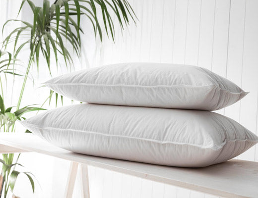 QUALLOFIL AIR ΜΑΞΙΛΑΡΙ 50Χ70 ΛΕΥΚΟ από την εταιρεία Vesta Home