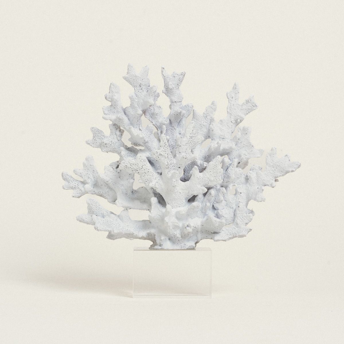 ΚΟΡΑΛΙ ΛΕΥΚΟ ΜΕ ΒΑΣΗ PLEXI GLASS 24 x 24 cm