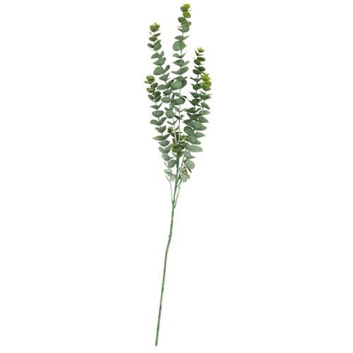 ΜΠΟΥΚΕΤΟ ΕΥΚΑΛΥΠΤΟΣ 83 CM